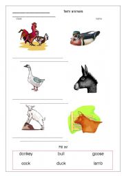 English worksheet: farm animals