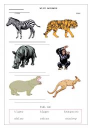 English worksheet: wild animals