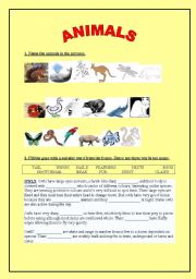 English worksheet: animals