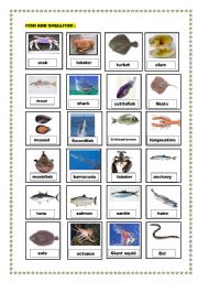 English Worksheet: fish and sellfish pictionary