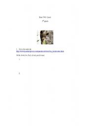 English Worksheet: Bear WebQuest