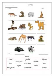 English Worksheet: Wild animals