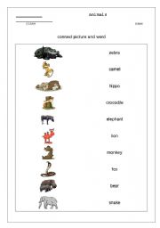 English worksheet: wild animals
