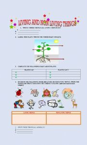 English Worksheet: LIVING THINGS