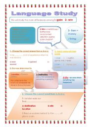 English worksheet: language study.