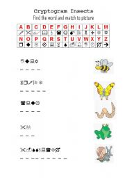 English Worksheet: Cryptogram Insects