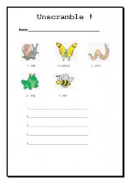 English worksheet: Unscramble insects