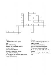English Worksheet: T. rex