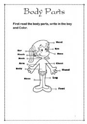 English Worksheet: Body Parts Girl and Boy