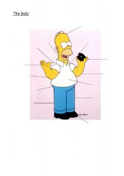 English Worksheet: Body Homer Simpson