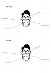 English worksheet: The Face