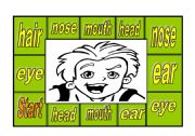 English Worksheet: Parts of the face