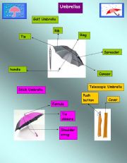 English Worksheet: flashcard umbrellas 
