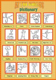 English Worksheet: At the circus