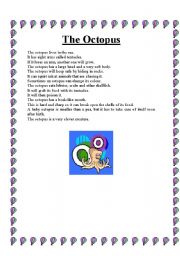 English worksheet: The octopus