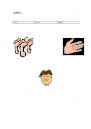 English worksheet: BODY