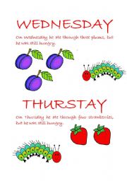 English Worksheet: The Very Hungry Caterpillar- Part3