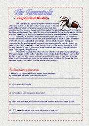 English Worksheet: The tarantula - Legend and reality