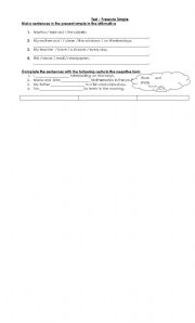 English worksheet: Present Simple Test Example