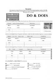 English Worksheet: do-does