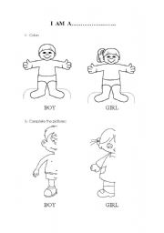 English Worksheet: boy and girl