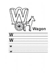 English Worksheet: english alphabet