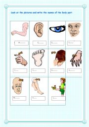 English worksheet: body parts