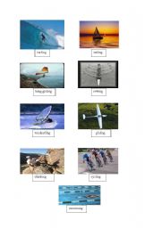 English Worksheet: sports