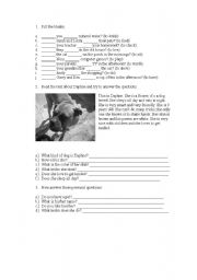 English worksheet: Simple Present Questions