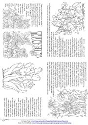 English Worksheet: Thumbelina (Story Mini Book)