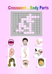 English Worksheet: BODY PARTS CROSSWORD