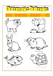 English Worksheet: Domestic Animals