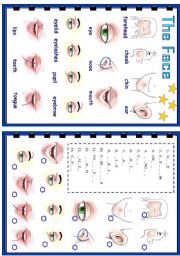 English Worksheet: The face