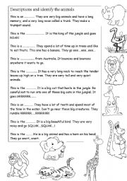 English Worksheet: Identify the animals