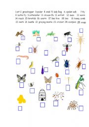 English Worksheet: insects