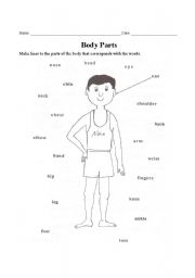 English Worksheet: Body Parts