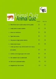 English worksheet: Animal Quiz