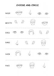 English Worksheet: Face