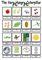 English Worksheet: The Very Hungry Caterpillar - Vocab. Pictionary -  