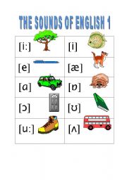 English Worksheet: THE SOUNDS OF ENGLISH 1