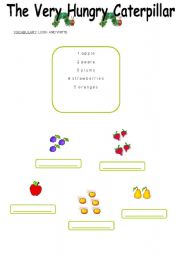 English Worksheet: The Very Hungry Caterpillar - 