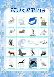 English Worksheet: polar animals picture dictionary (1/3)