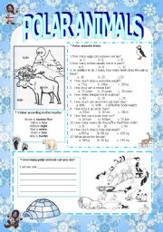 English Worksheet: Polar animals activites (3/3)