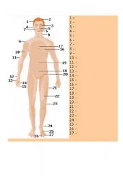 English Worksheet: Parts of Body