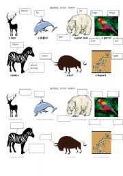 English Worksheet: ANIMAL BODY PARTS