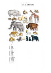 English Worksheet: Wild animals