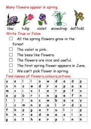 English Worksheet: Spring flowers