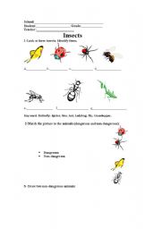 English worksheet: Animals:dangerous and non-dangerous