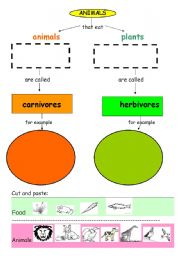 Carnivores and Herbivores animals