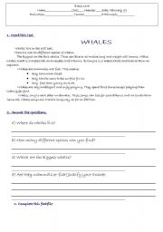 English worksheet: animals